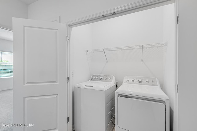 7219 Sabal Ter, Jacksonville, FL 32210 - photo 16