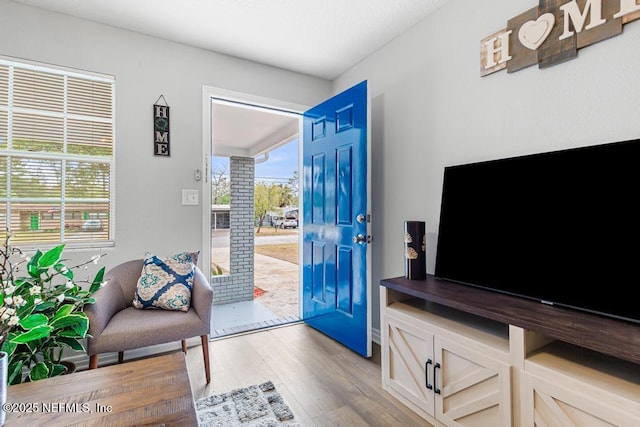 interior space featuring hardwood / wood-style floors and a wealth of natural light