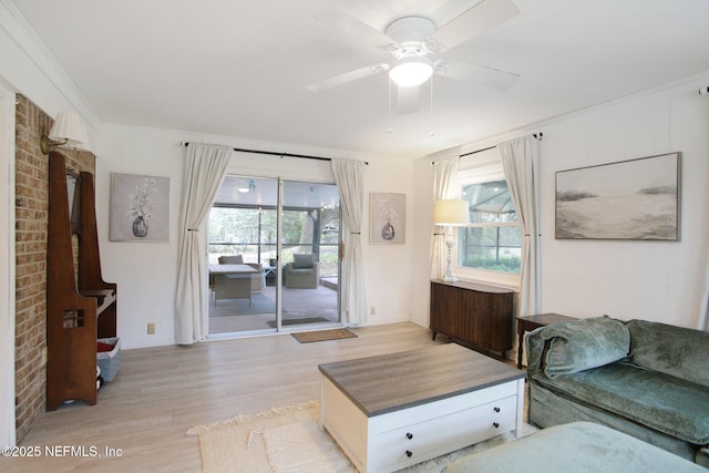 living room with ceiling fan, ornamental molding, radiator heating unit, and light hardwood / wood-style flooring