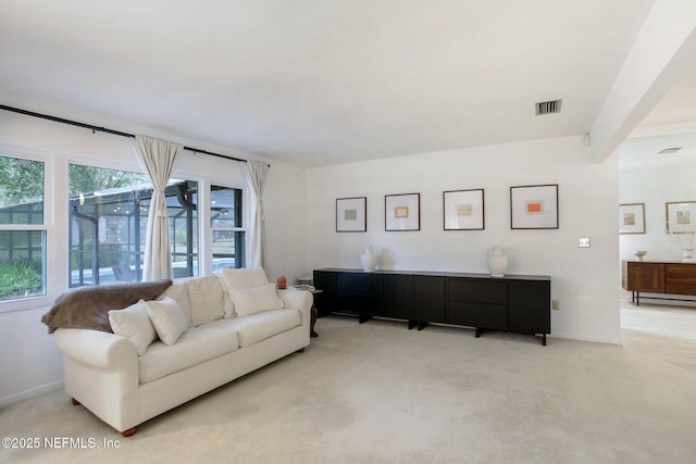 living room with light colored carpet and a healthy amount of sunlight