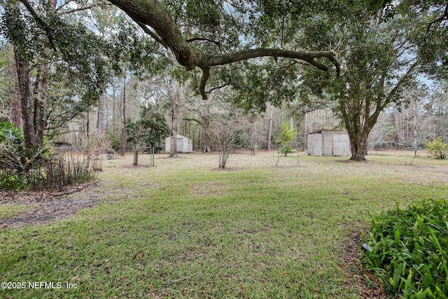 view of yard with a storage shed