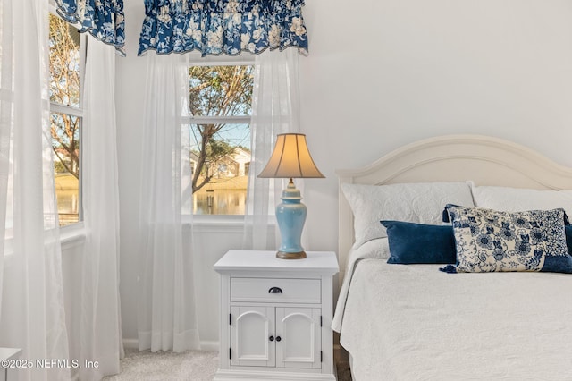 view of carpeted bedroom