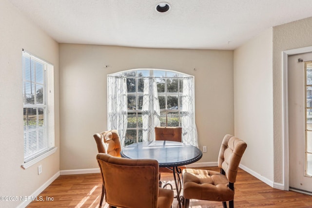 dining room with light hardwood / wood-style floors and a wealth of natural light