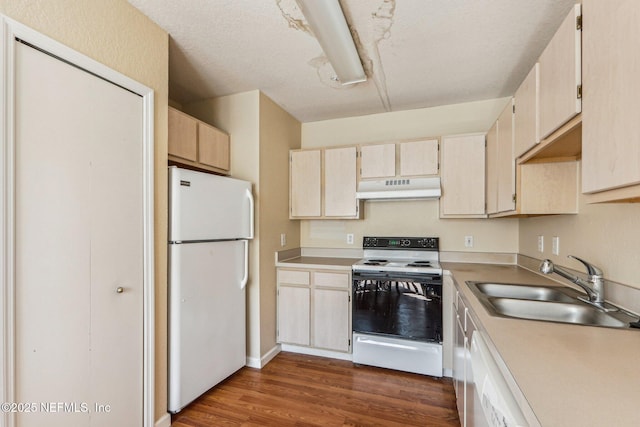 kitchen featuring white appliances, dark hardwood / wood-style flooring, and sink