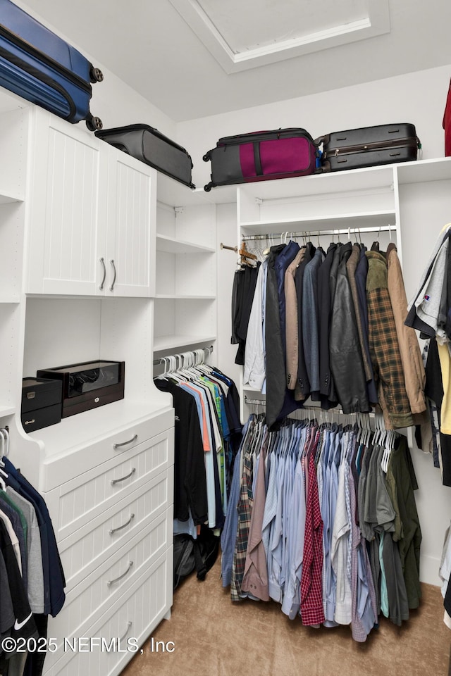 walk in closet with light carpet