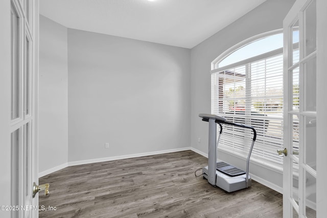 workout area with hardwood / wood-style floors