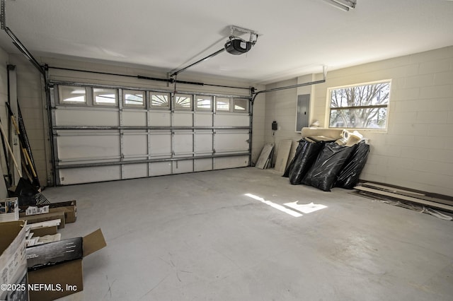 garage featuring a garage door opener and electric panel