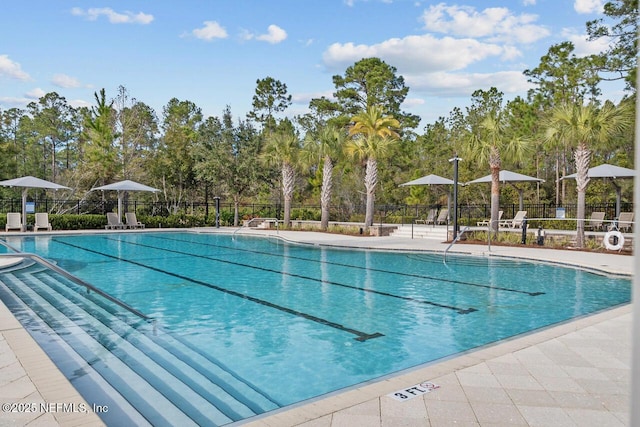 view of swimming pool