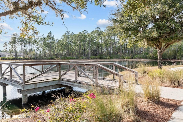 dock area featuring a water view