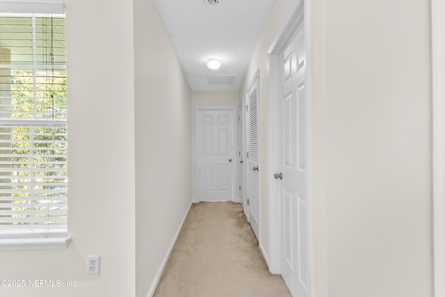 corridor featuring light colored carpet, plenty of natural light, and a textured ceiling