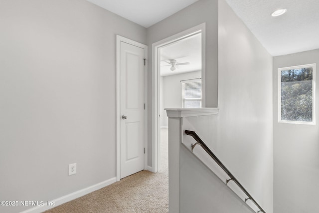 corridor featuring carpet floors