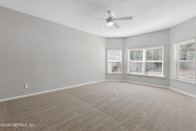 spare room featuring ceiling fan and carpet floors