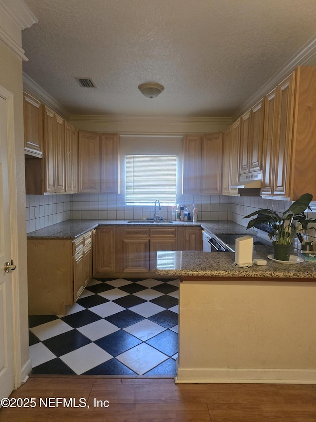 kitchen with sink, tasteful backsplash, range, and ornamental molding