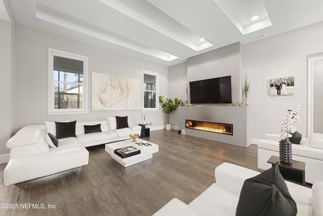 living room featuring hardwood / wood-style flooring and a tray ceiling