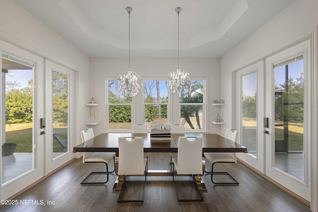 interior space featuring french doors, dark hardwood / wood-style floors, and a tray ceiling