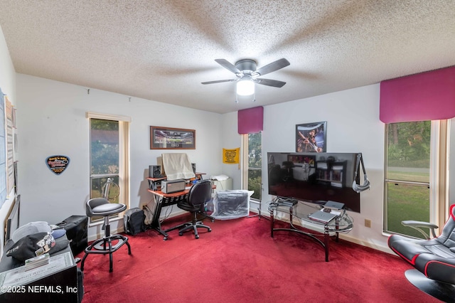 office space with ceiling fan, carpet flooring, and a textured ceiling