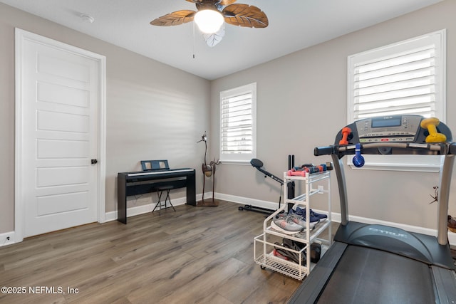 workout room featuring wood-type flooring and ceiling fan