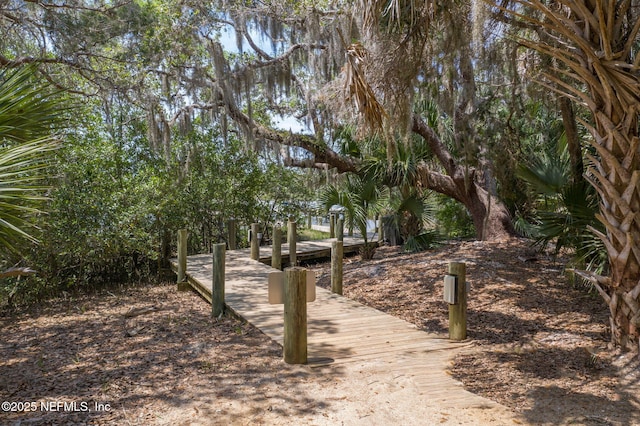 view of property's community with a boat dock