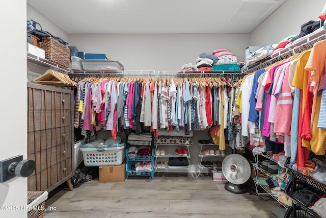 walk in closet featuring wood-type flooring