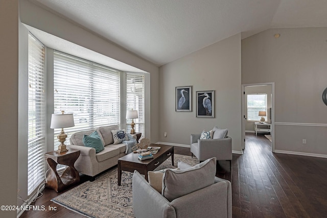 living room with dark hardwood / wood-style flooring and vaulted ceiling