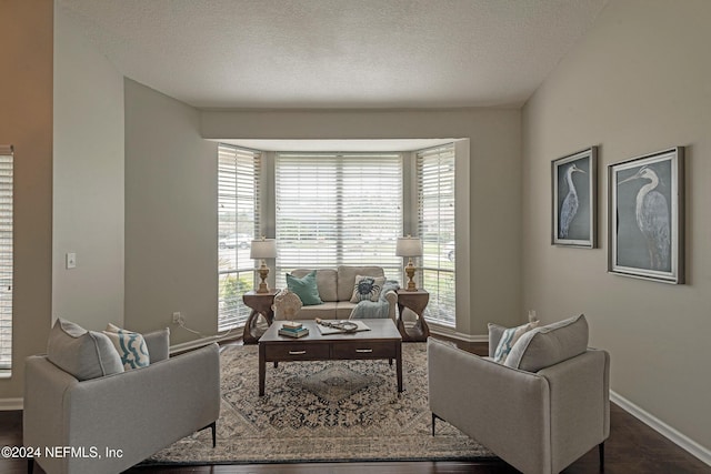 living room featuring a textured ceiling