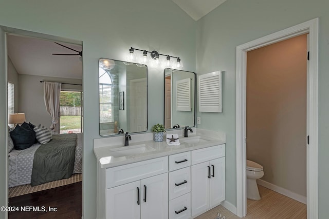 bathroom with vanity, hardwood / wood-style flooring, lofted ceiling, and toilet