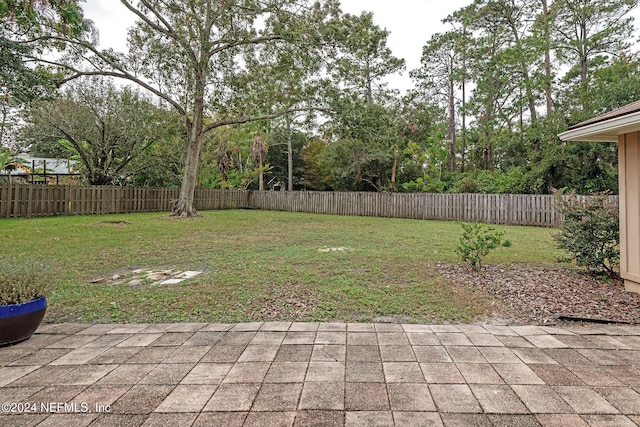 view of yard featuring a patio area