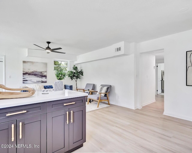 kitchen with ceiling fan and light hardwood / wood-style floors