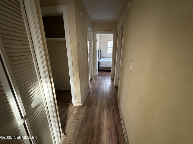 hallway with dark wood-type flooring