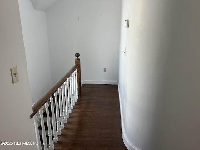 corridor featuring dark wood-type flooring