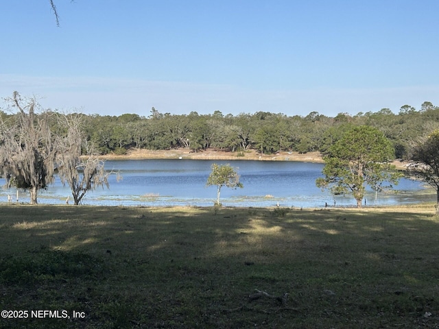 view of water feature