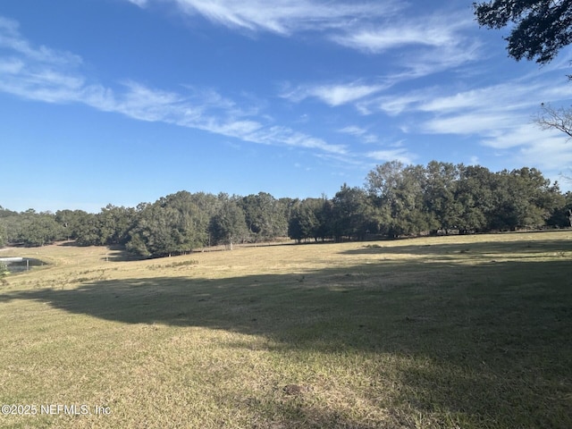 view of local wilderness featuring a rural view