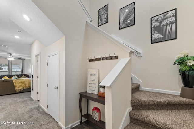 staircase with carpet flooring and ceiling fan