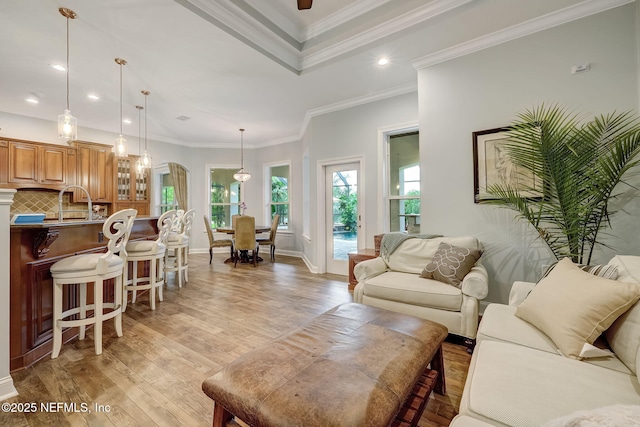 living room featuring ornamental molding and light hardwood / wood-style flooring