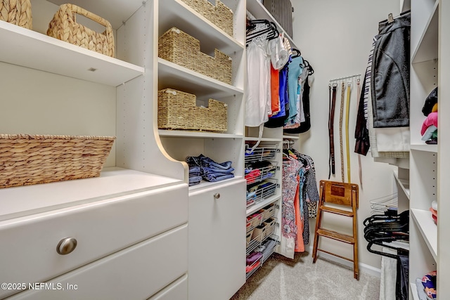 walk in closet featuring light carpet