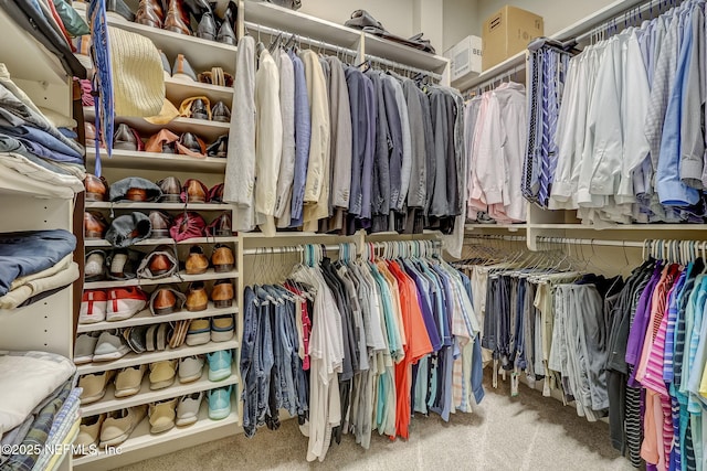 spacious closet featuring carpet