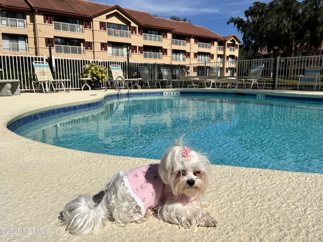 view of swimming pool