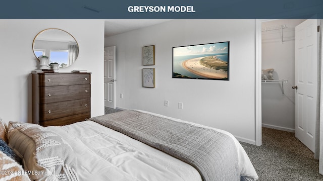 carpeted bedroom featuring a walk in closet and a closet