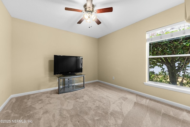 10657 Crooked Tree Ct, Jacksonville, FL 32256 - photo 20