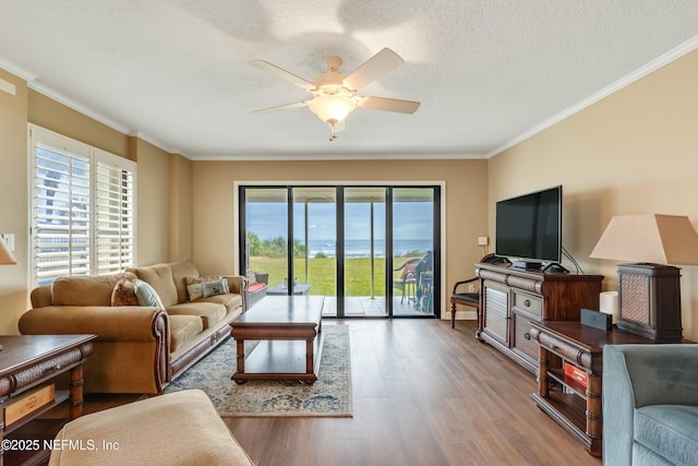 living room with crown molding, hardwood / wood-style flooring, a wealth of natural light, and ceiling fan