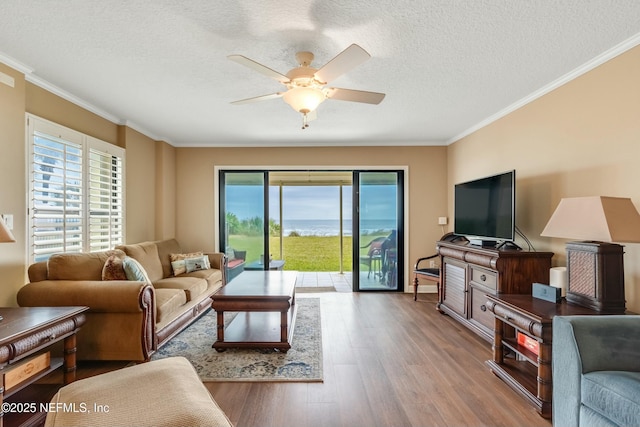 living room with ceiling fan, ornamental molding, light hardwood / wood-style floors, and a textured ceiling