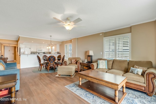 living room with ceiling fan with notable chandelier, ornamental molding, light hardwood / wood-style floors, and a textured ceiling