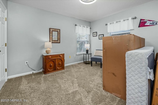 sitting room with carpet floors