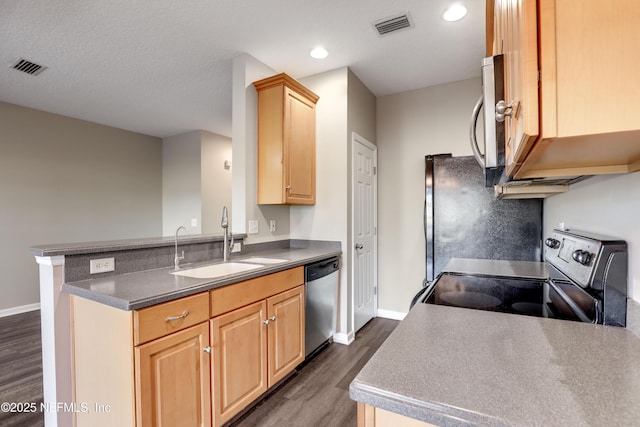 kitchen with light brown cabinetry, sink, appliances with stainless steel finishes, dark hardwood / wood-style flooring, and kitchen peninsula