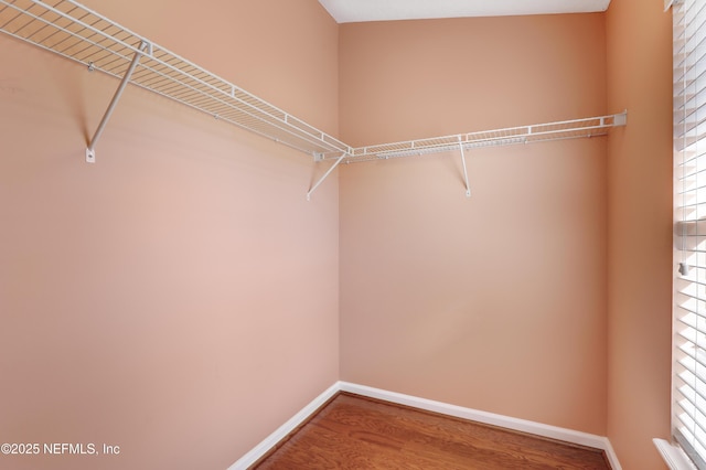 spacious closet featuring hardwood / wood-style floors