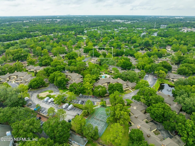 bird's eye view