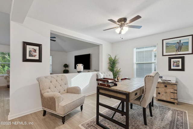 dining space featuring ceiling fan and light hardwood / wood-style flooring