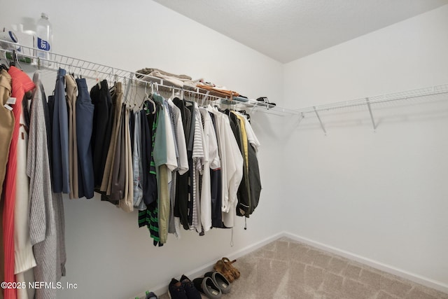 walk in closet featuring carpet flooring