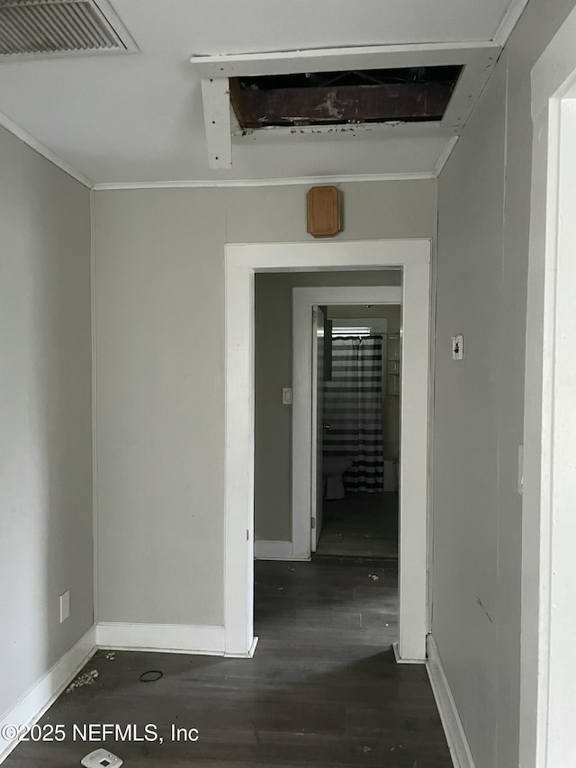 hallway featuring crown molding and dark wood-type flooring