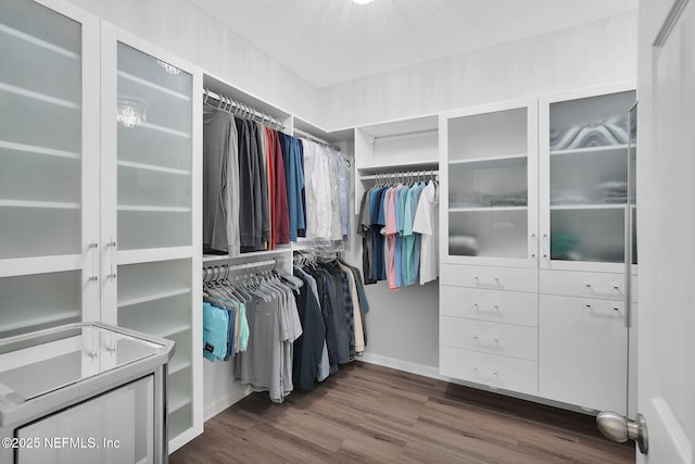 walk in closet featuring dark hardwood / wood-style flooring